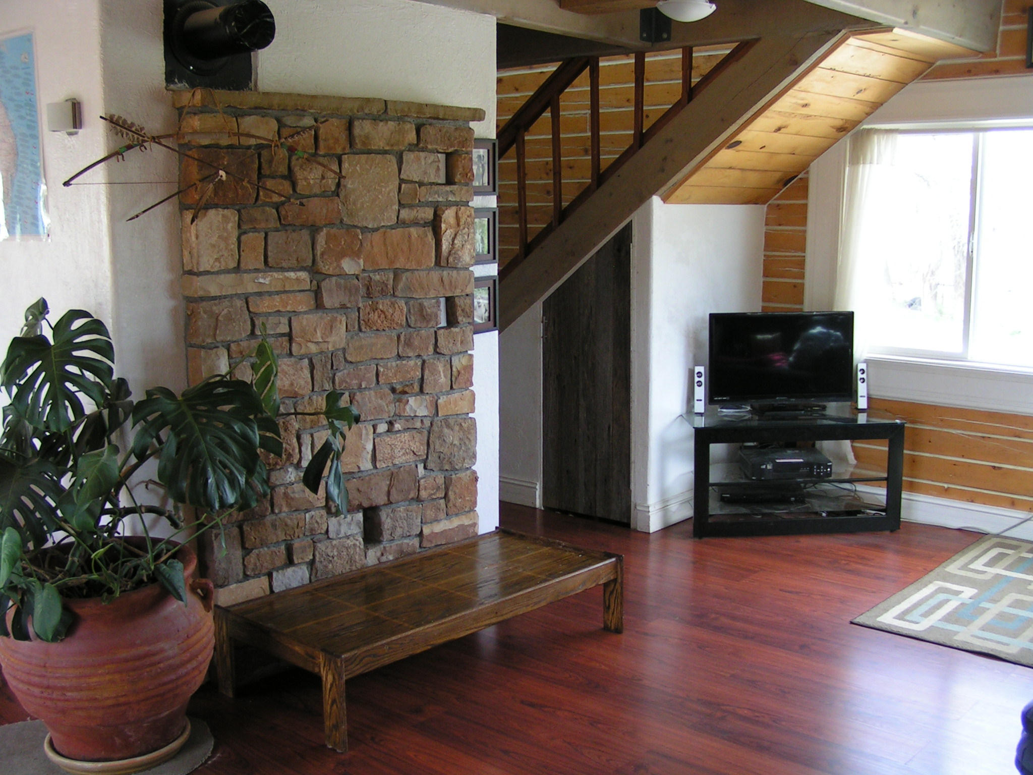 910 Charles Street Ridgway, CO 81432 - Photo 8 of 40 PICT4852