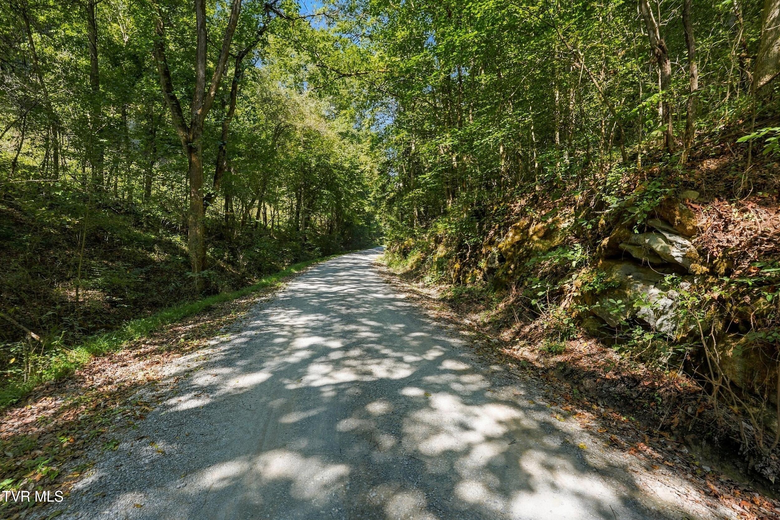 2918 Copper Creek Road Duffield, VA 24244 - Photo 27 of 31 dsc07018