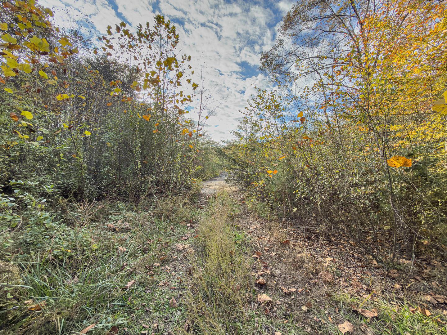 0 Thompsonville Road Wellston, OH 45692 - Photo 8 of 20 Thompsonville Rd 51-8