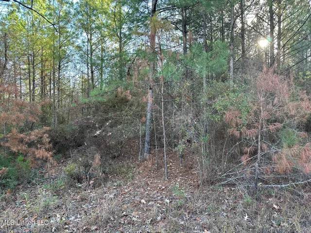 $57,000 | 1048 Williamson Road, Wesson, MS 39191