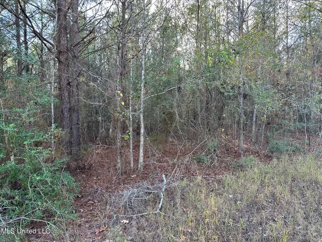 $57,000 | 1048 Williamson Road, Wesson, MS 39191