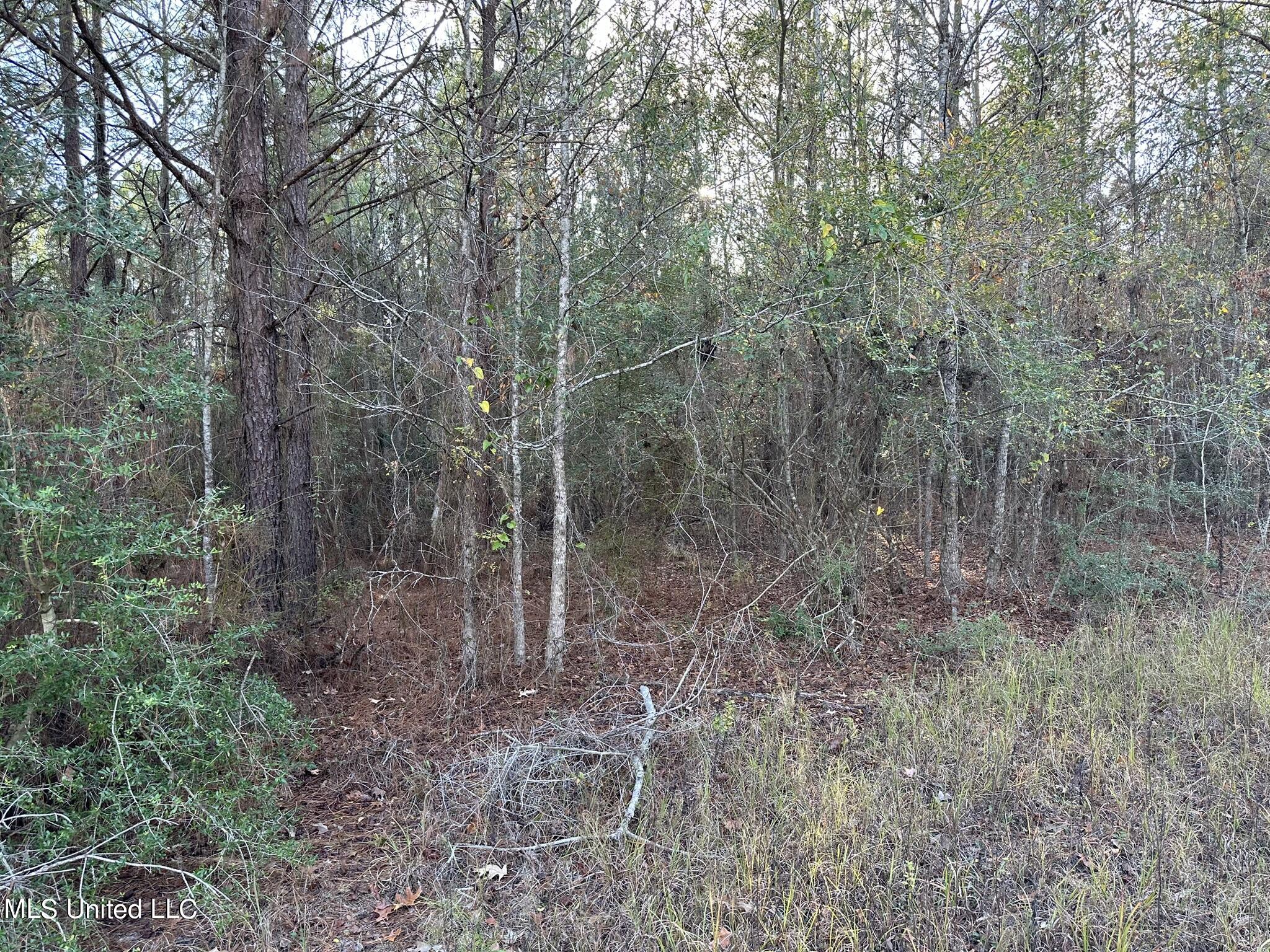 1048 Williamson Road Wesson, MS 39191 - Photo 2 of 3 IMG_3076