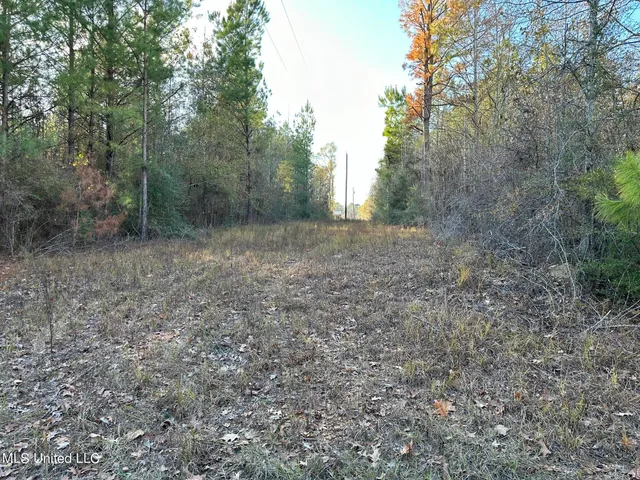 $57,000 | 1048 Williamson Road, Wesson, MS 39191