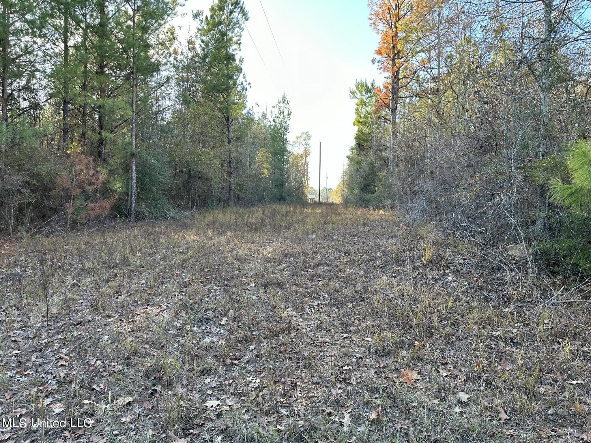 1048 Williamson Road Wesson, MS 39191 - Photo 3 of 3 IMG_3077