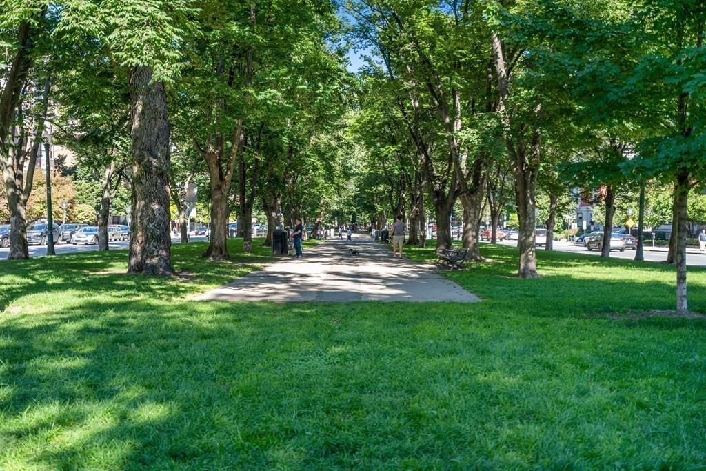 352 Commonwealth Avenue, Unit 2 Boston, MA 02115 - Photo 24 of 25 a view of park space