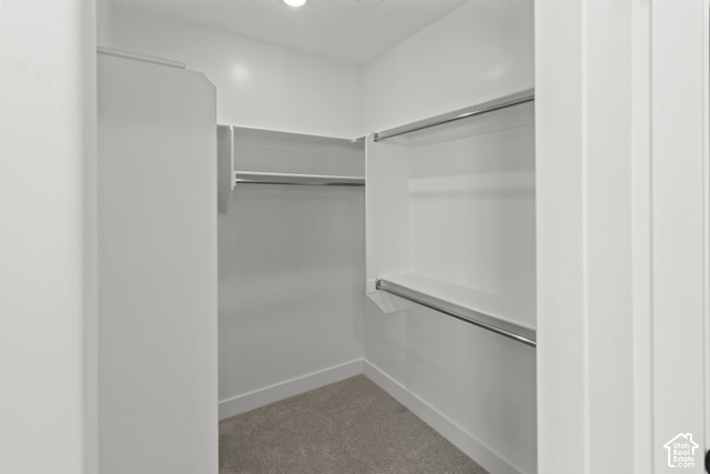 205 East 690th Street North Logan, UT 84321 - Photo 48 of 52 Walk-in closet with carpet flooring, white walls, built-in shelving, and chrome hanging rods