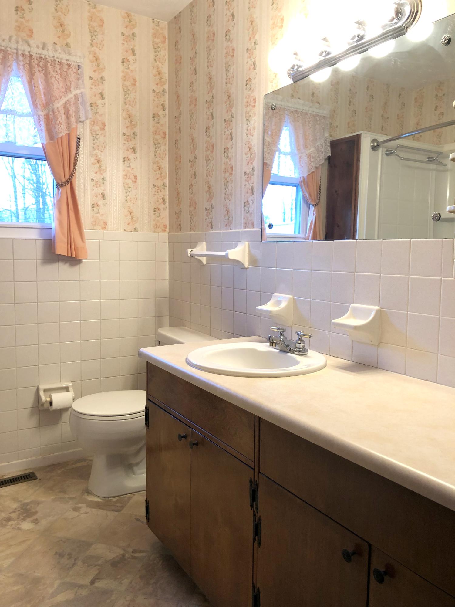 215 Loop Road Caryville, TN 37714 - Photo 24 of 29 Bathroom