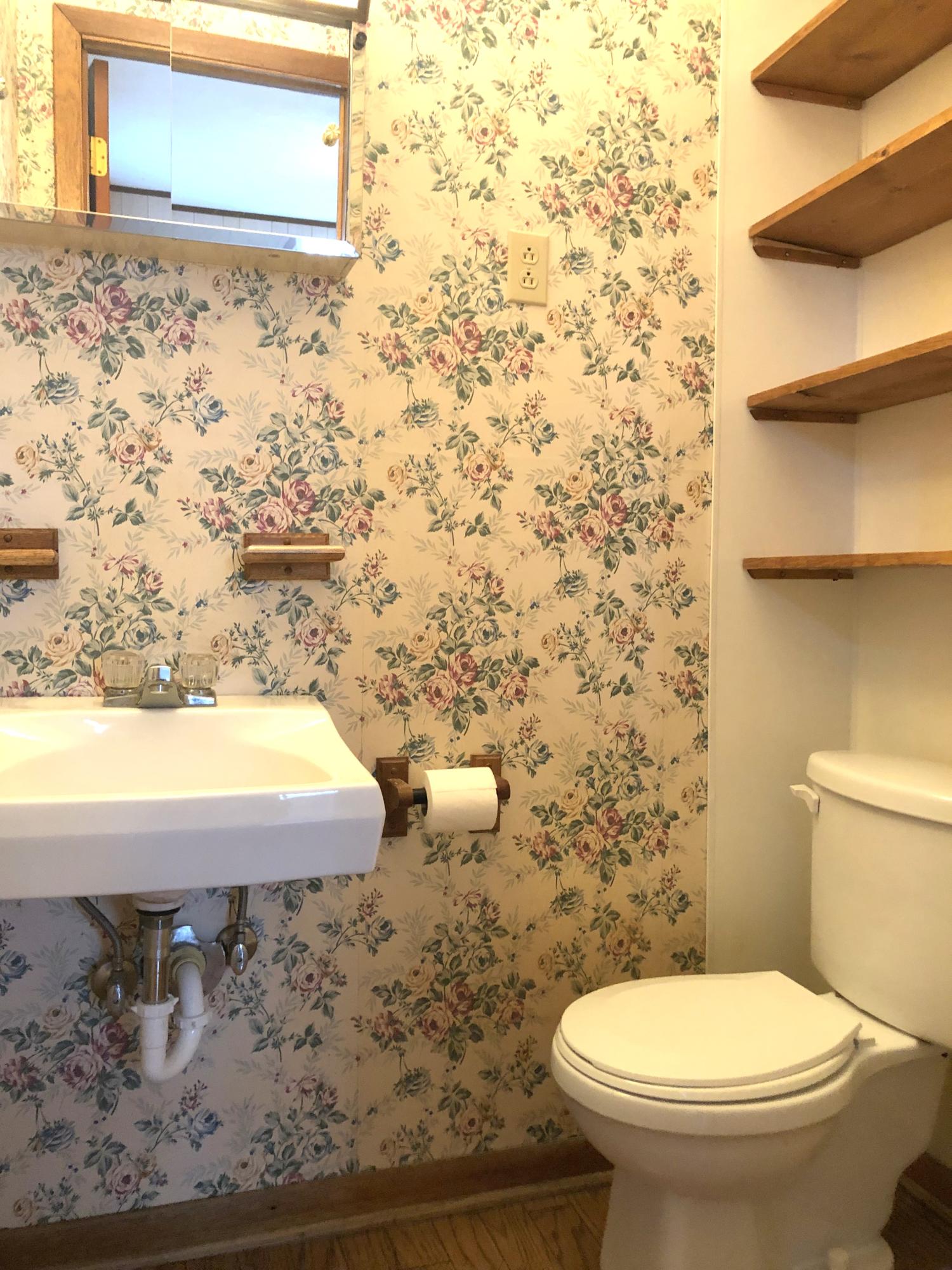 215 Loop Road Caryville, TN 37714 - Photo 25 of 29 Master bath