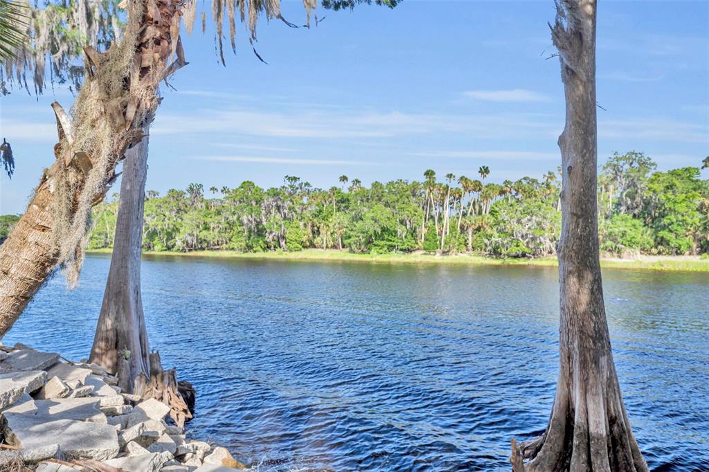 430 Cypress Isles Road Osteen, FL 32764 - Photo 50 of 55