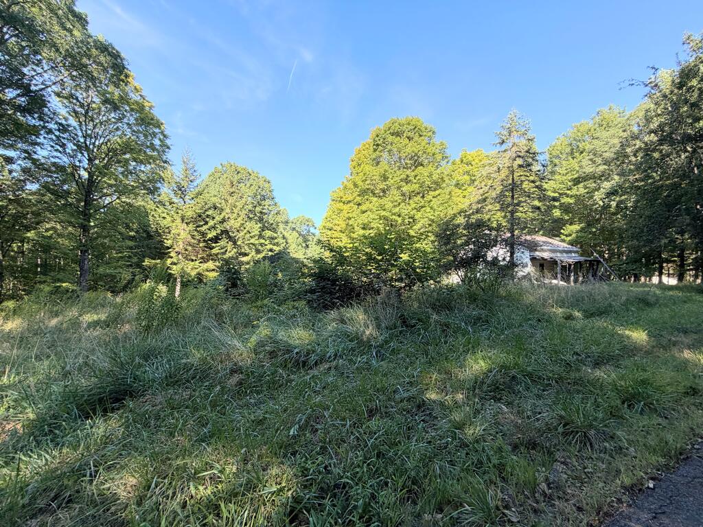 0 Keeney Mountain Road Sandstone, WV 25985 - Photo 8 of 15 Gallery Image 8