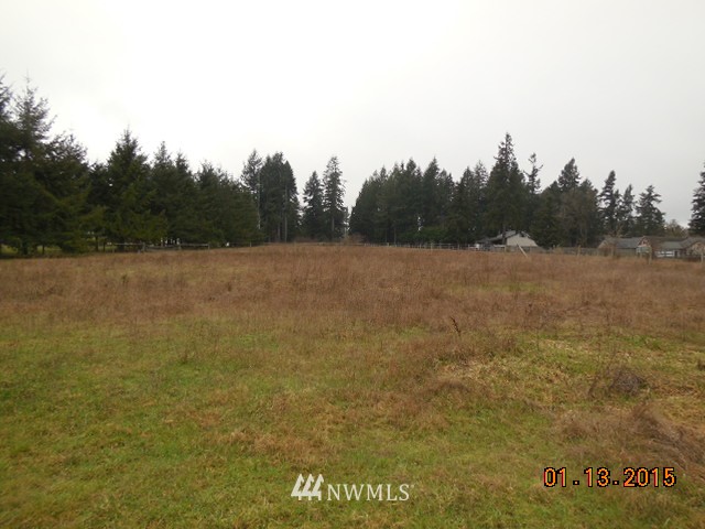 7427 Creekside Lane Southwest Rochester, WA 98579 - Photo 14 of 18