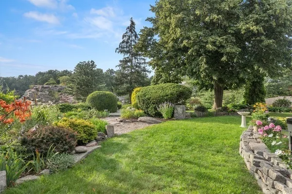 a view of a garden with large trees