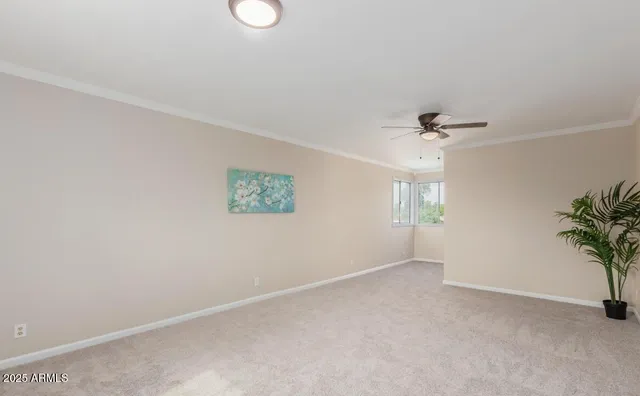 an empty room with windows and plant