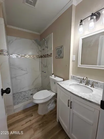 a bathroom with a granite countertop sink toilet and a mirror