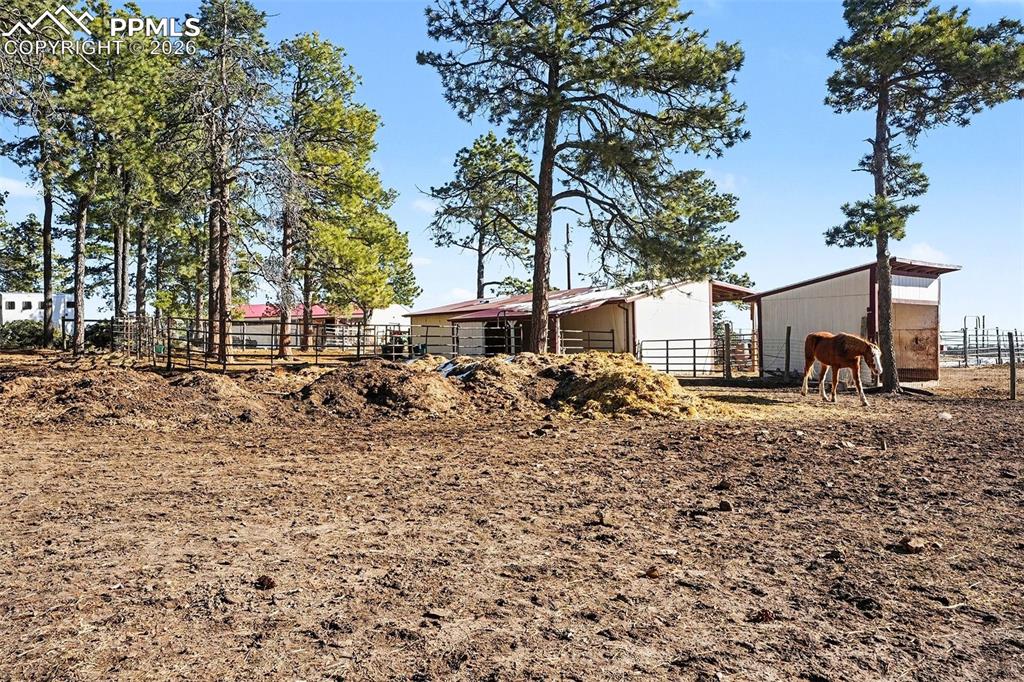 8265 Tannenbaum Road Colorado Springs, CO 80908 - Photo 41 of 50 a view of a backyard with a large tree