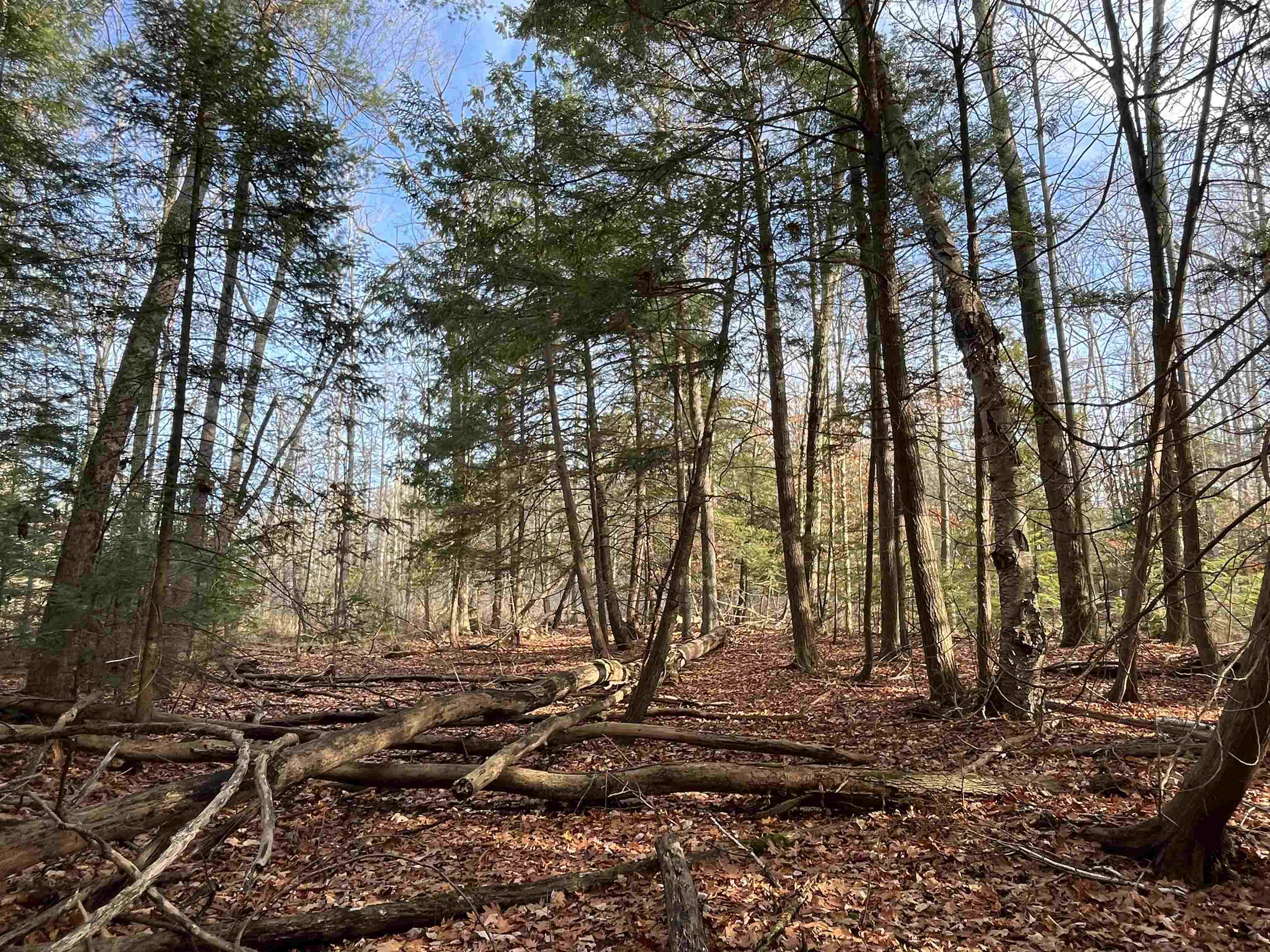 2905 Neahtawanta Road Traverse City, MI 49686 - Photo 11 of 29