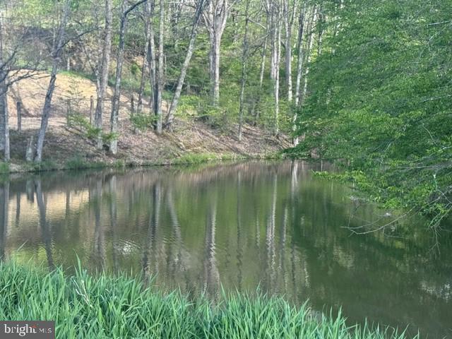 Tbd Shaffers Run Road Mill Creek, WV 26280 - Photo 9 of 43