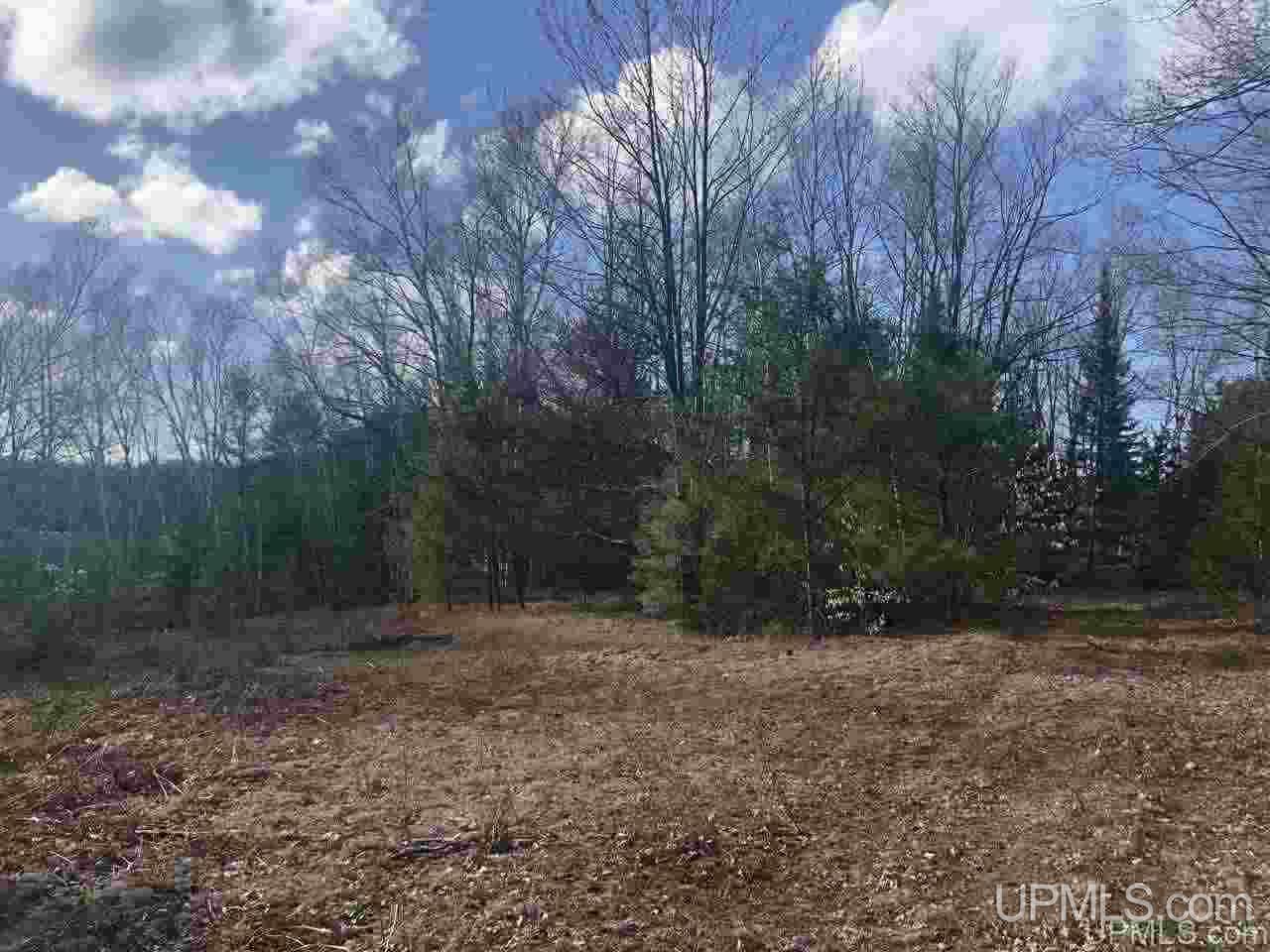 40 West Smith Lake Road Manistique, MI 49854 - Photo 11 of 24