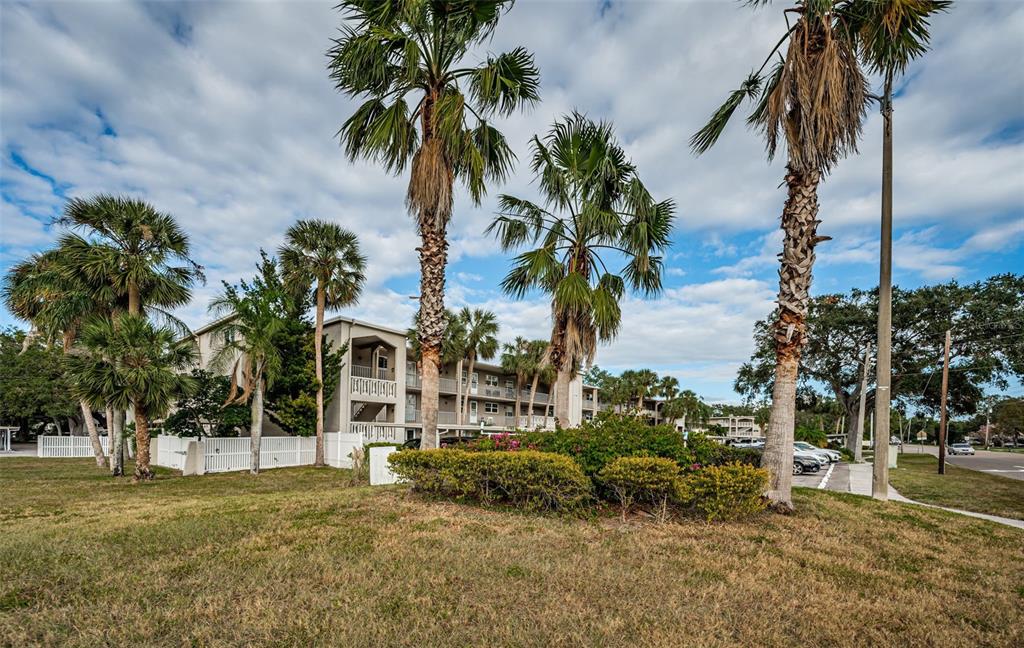 920 Virginia Street, Unit 302 Dunedin, FL 34698 - Photo 3 of 66 a view of a house with a yard and palm trees
