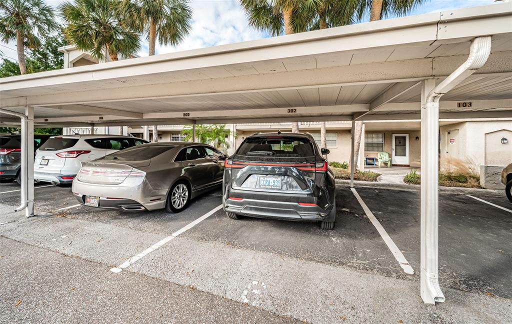 920 Virginia Street, Unit 302 Dunedin, FL 34698 - Photo 41 of 66