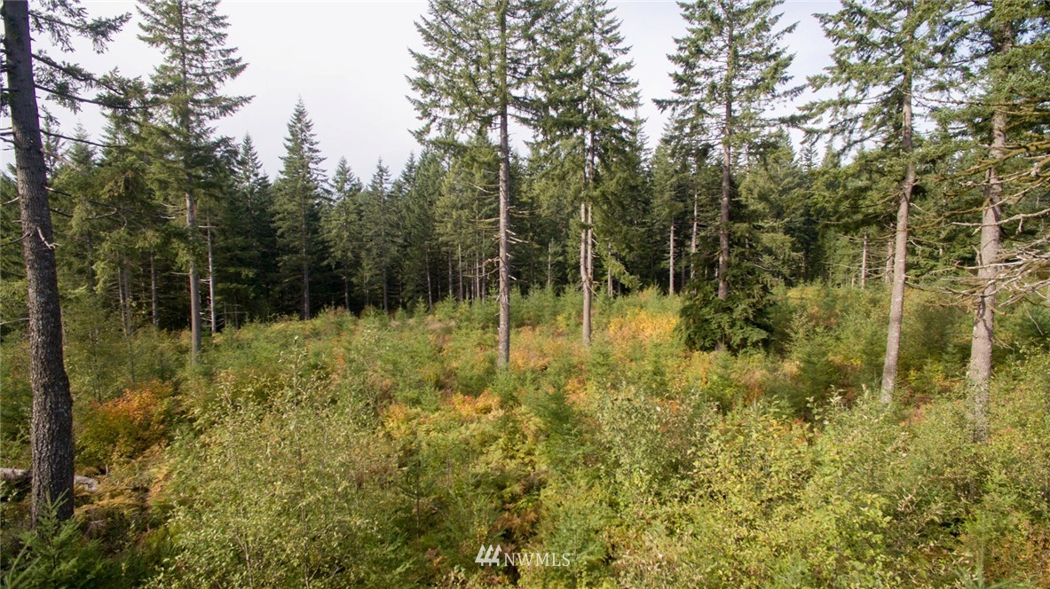 4 Freeman Road Kalama, WA 98625 - Photo 2 of 9 Gallery Image 2