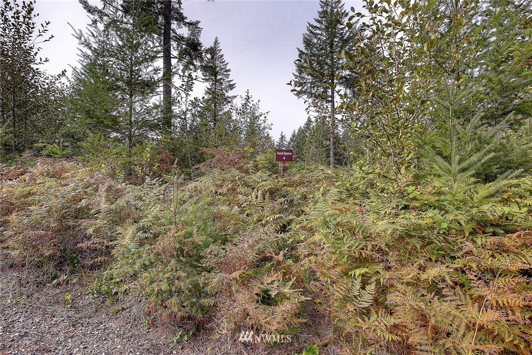 4 Freeman Road Kalama, WA 98625 - Photo 3 of 9 Gallery Image 3