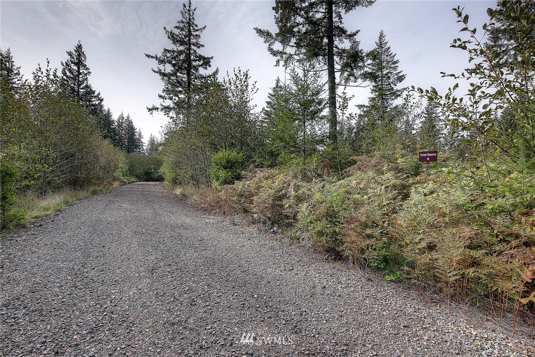 4 Freeman Road Kalama, WA 98625 - Photo 4 of 9 Gallery Image 4