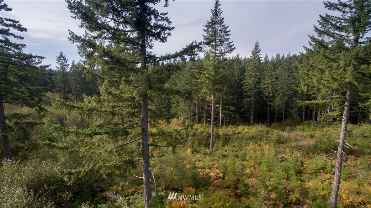 4 Freeman Road Kalama, WA 98625 - Photo 5 of 9 Gallery Image 5