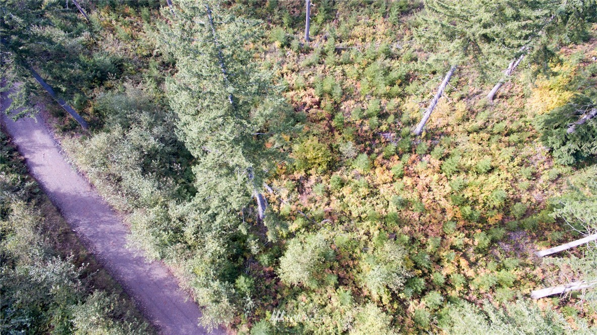 4 Freeman Road Kalama, WA 98625 - Photo 6 of 9 Gallery Image 6