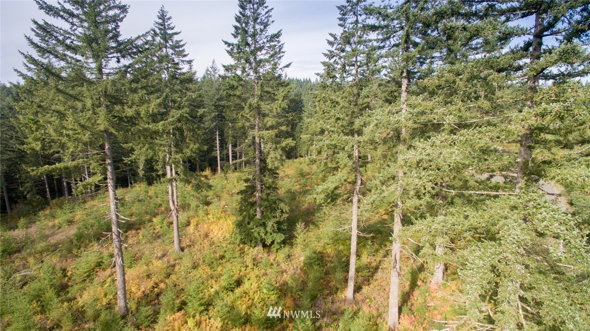 4 Freeman Road Kalama, WA 98625 - Photo 7 of 9 Gallery Image 7
