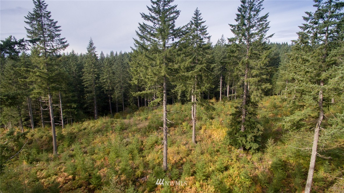 4 Freeman Road Kalama, WA 98625 - Photo 8 of 9 Gallery Image 8