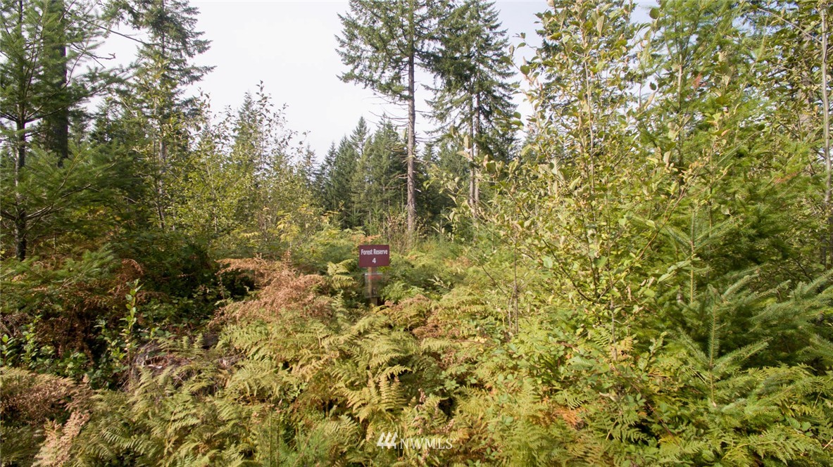4 Freeman Road Kalama, WA 98625 - Photo 9 of 9 Gallery Image 9