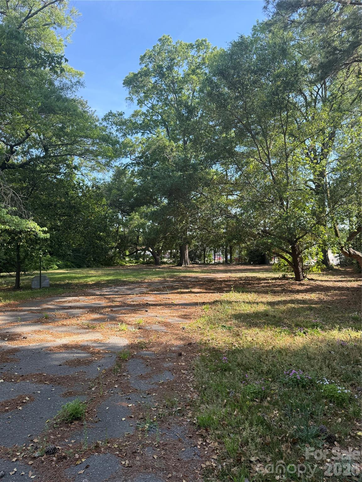 406 East Main Street Chesterfield, SC 29709 - Photo 3 of 16