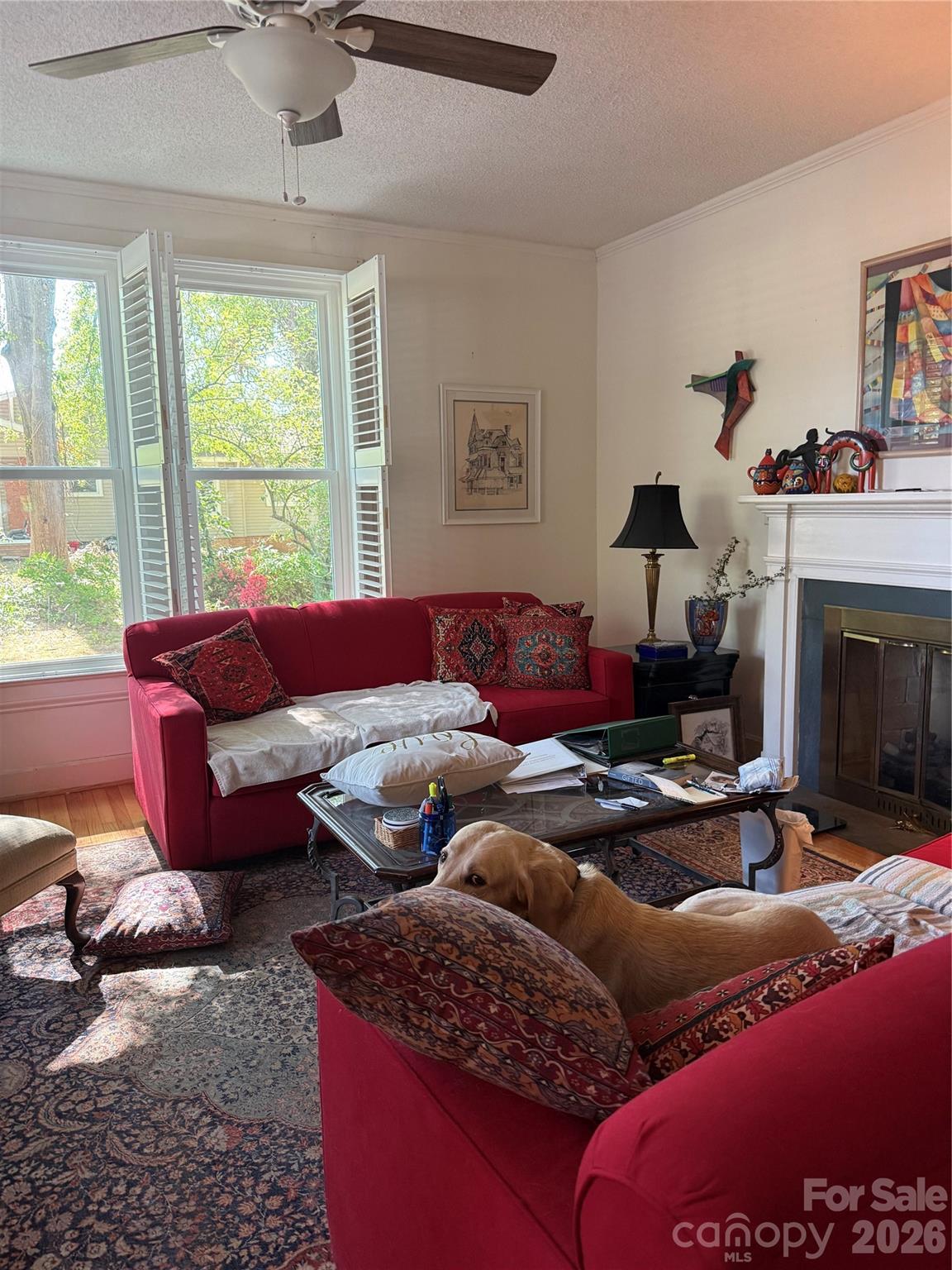 406 East Main Street Chesterfield, SC 29709 - Photo 7 of 16