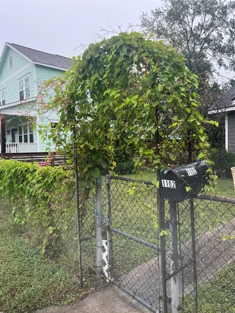 a picture of a tree