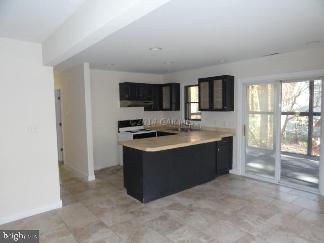 74 Capetown Road Berlin, MD 21811 - Photo 9 of 24