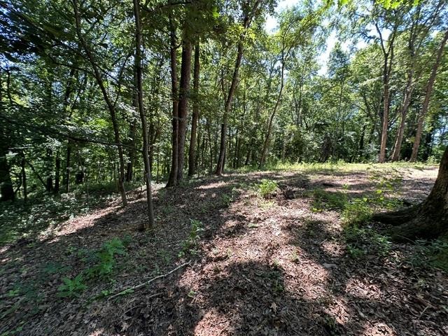684 Eva Flatwoods Road Eva, TN 38333 - Photo 40 of 43