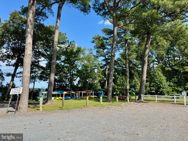 a view of a town with large trees