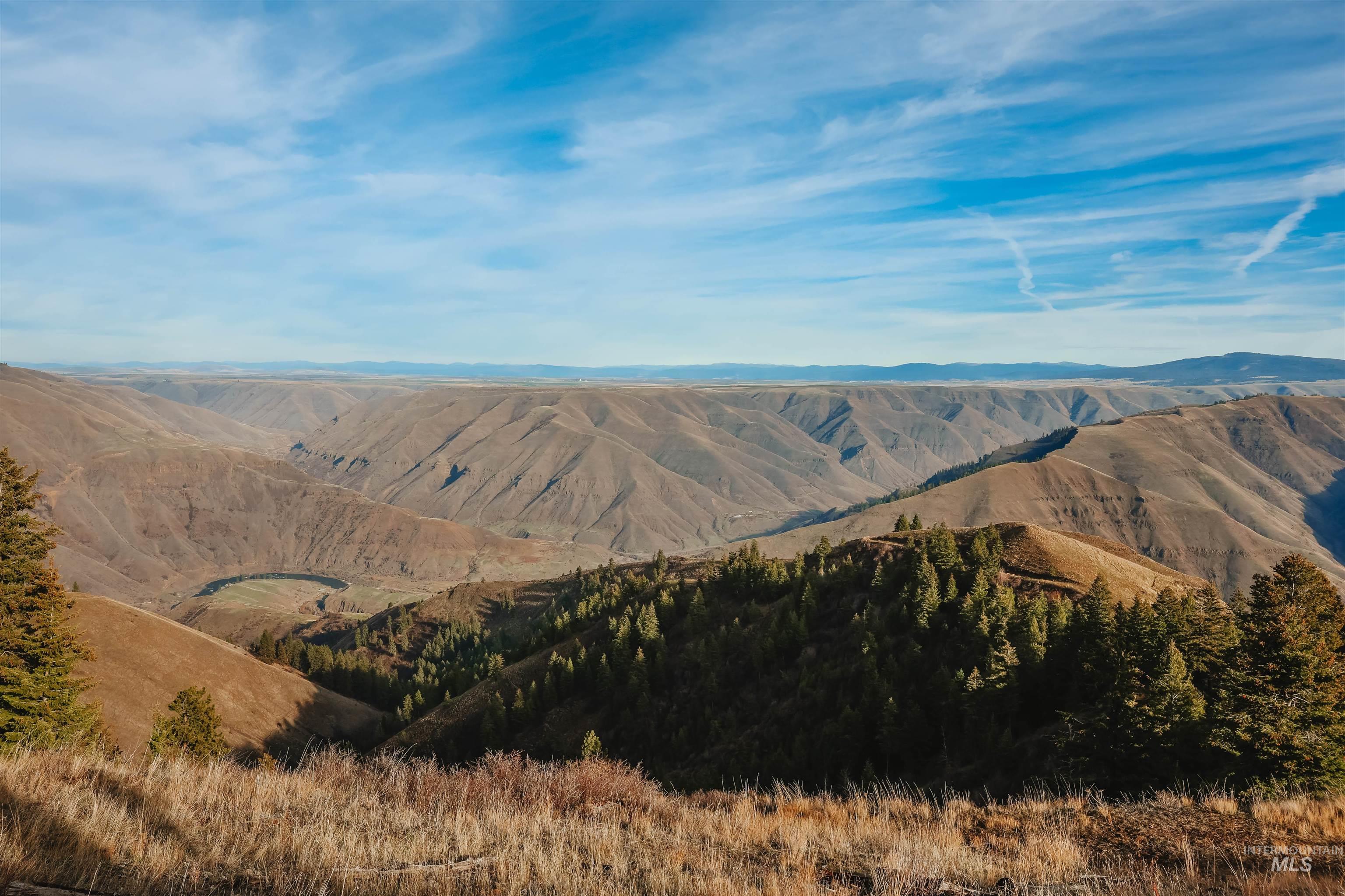 Tbd Boles Road Cottonwood, ID 83522 - Photo 24 of 49 Mountain view with rural landscape