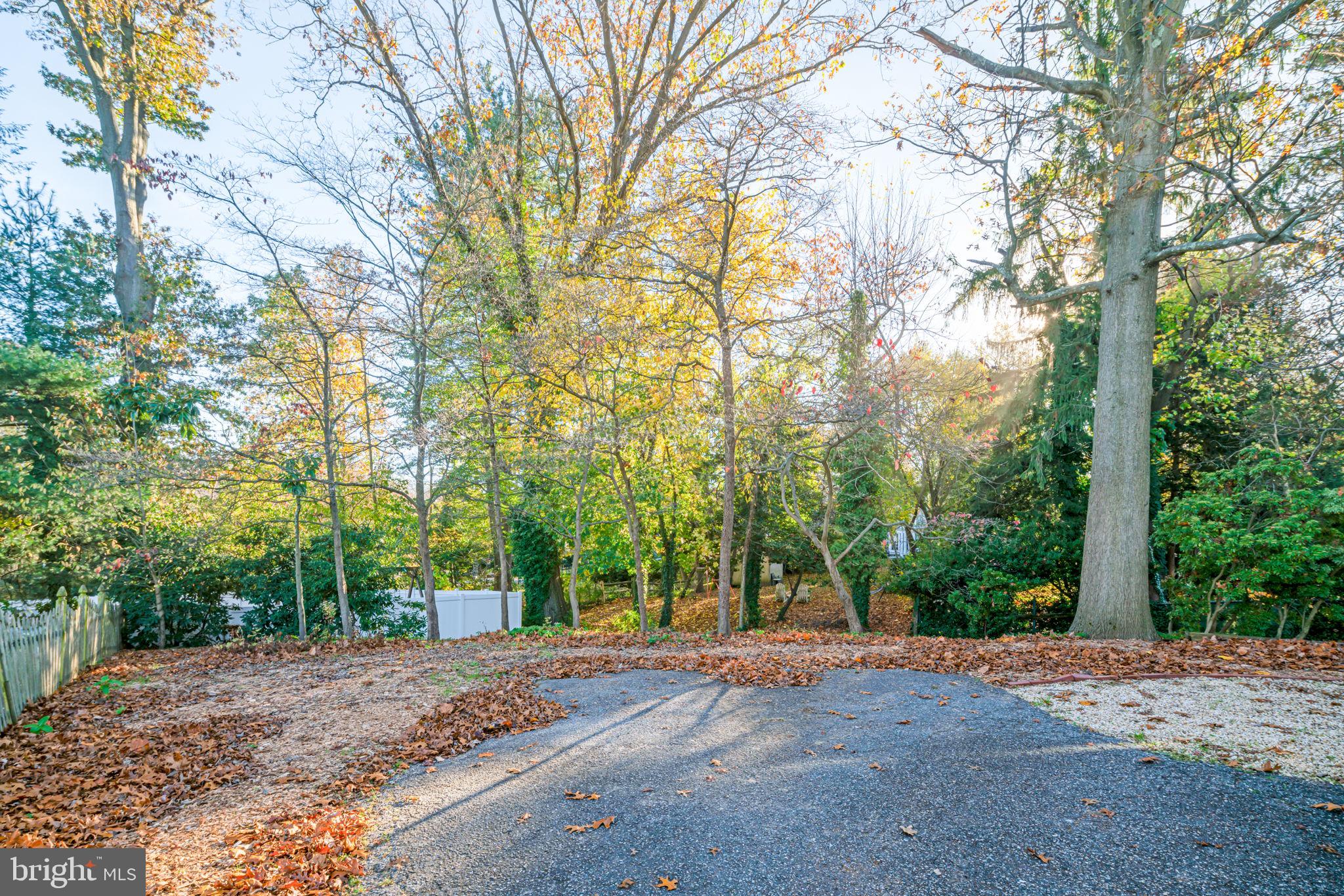 24 Colonial Ridge Drive Haddonfield, NJ 08033 - Photo 48 of 51