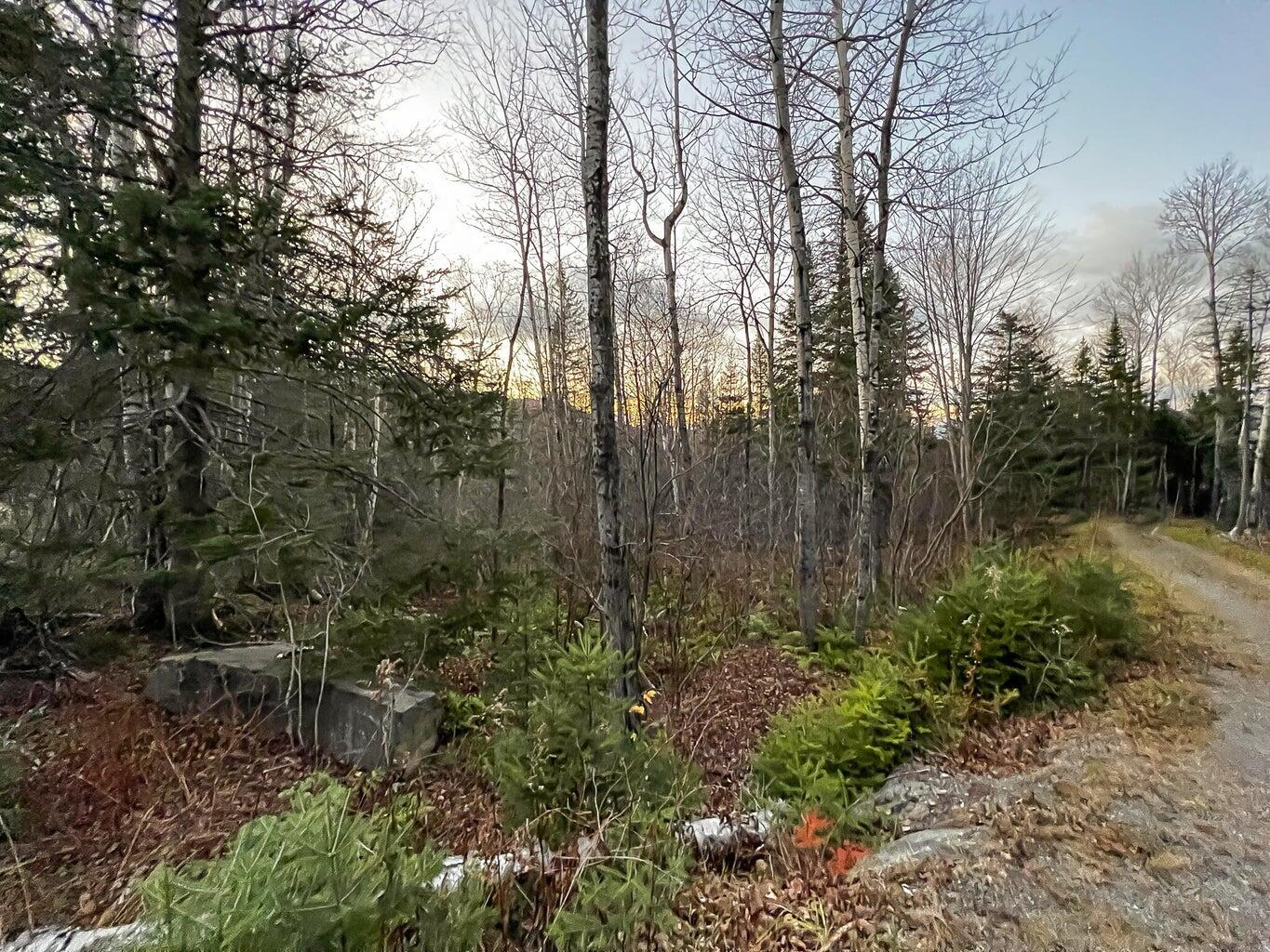 Lot 16 Mill Brook Road Sandy River Plt, ME 04970 - Photo 29 of 44