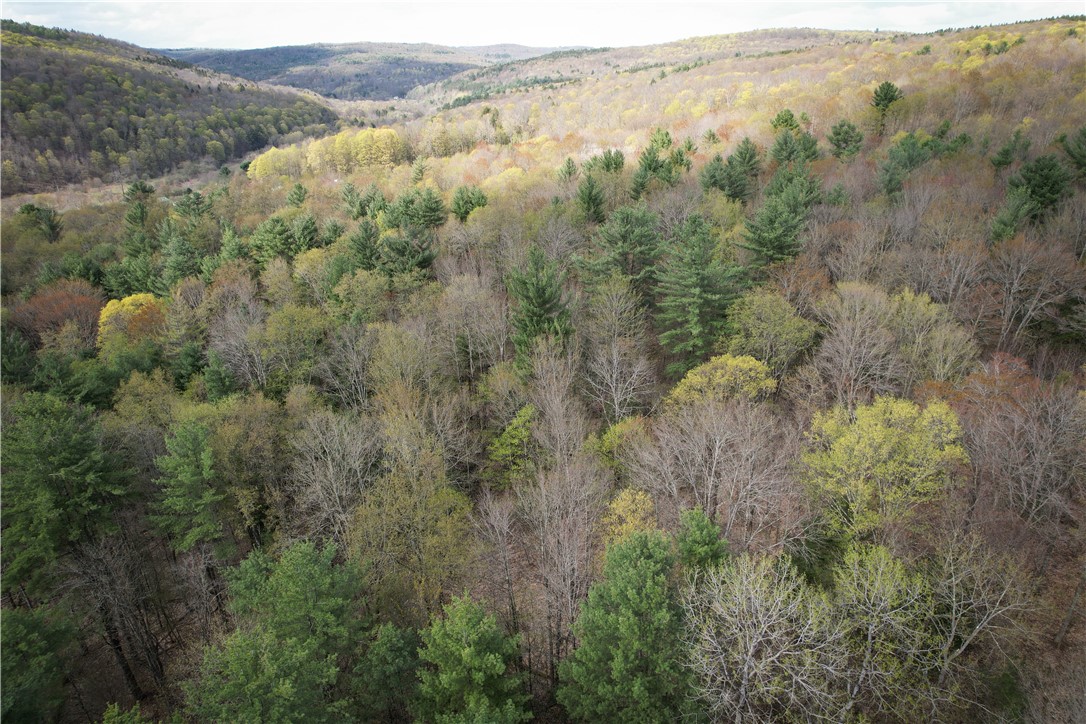 West Creek Road Richford, NY 13835 - Photo 34 of 44