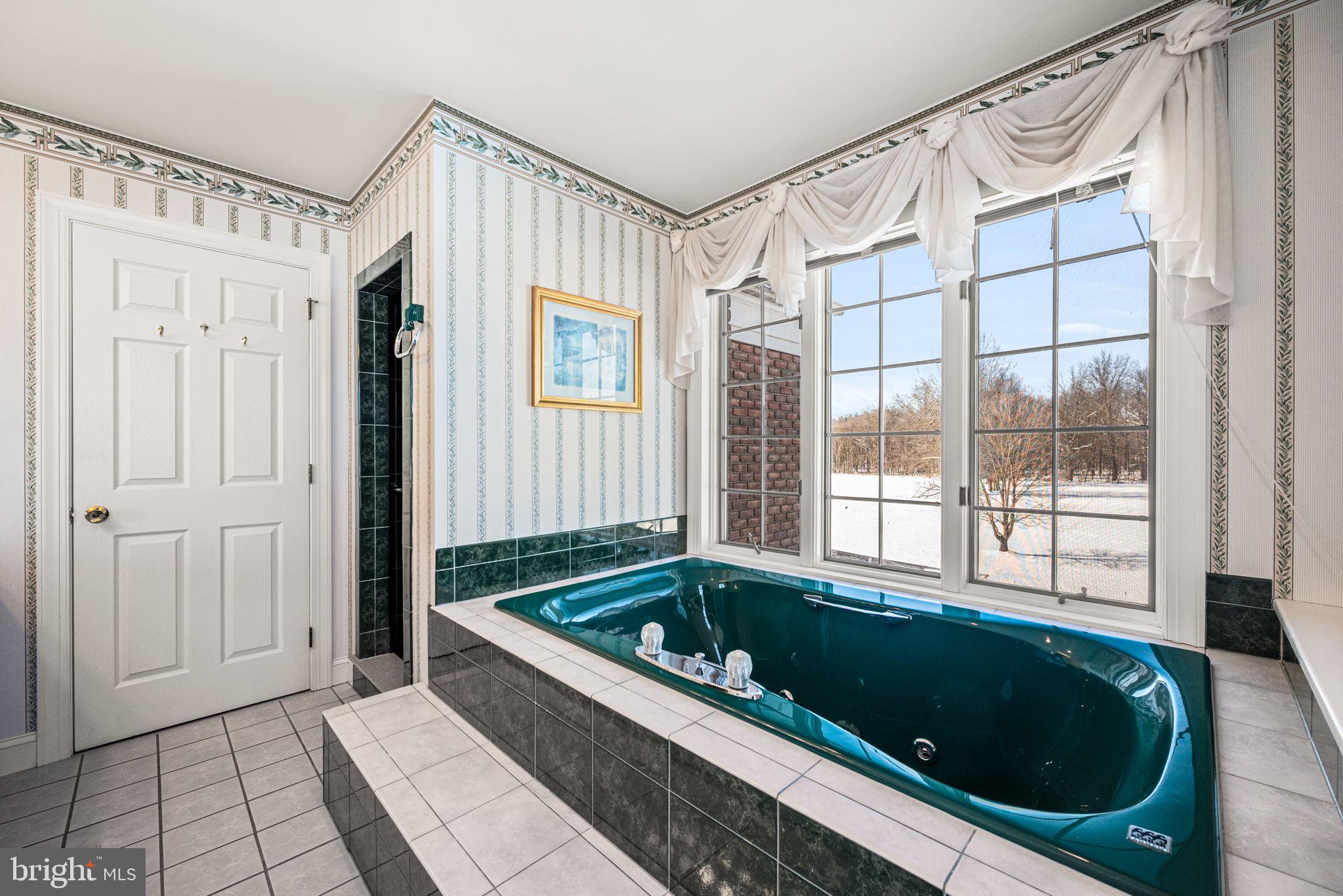 220 Sassamansville Road Gilbertsville, PA 19525 - Photo 20 of 34 a bathroom with a tub a mirror and a shower