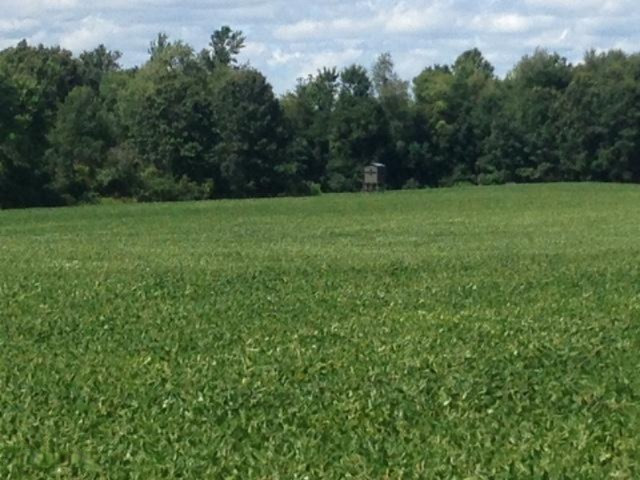 4600 Nims Road Leslie, MI 49251 - Photo 1 of 1 IMG_1563