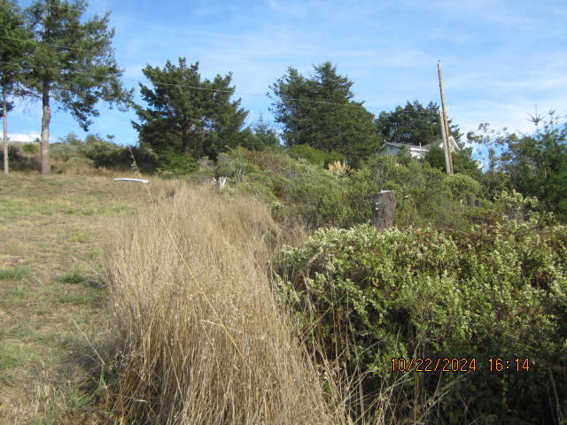 60 Spruce Road Shelter Cove, CA 95589 - Photo 15 of 21