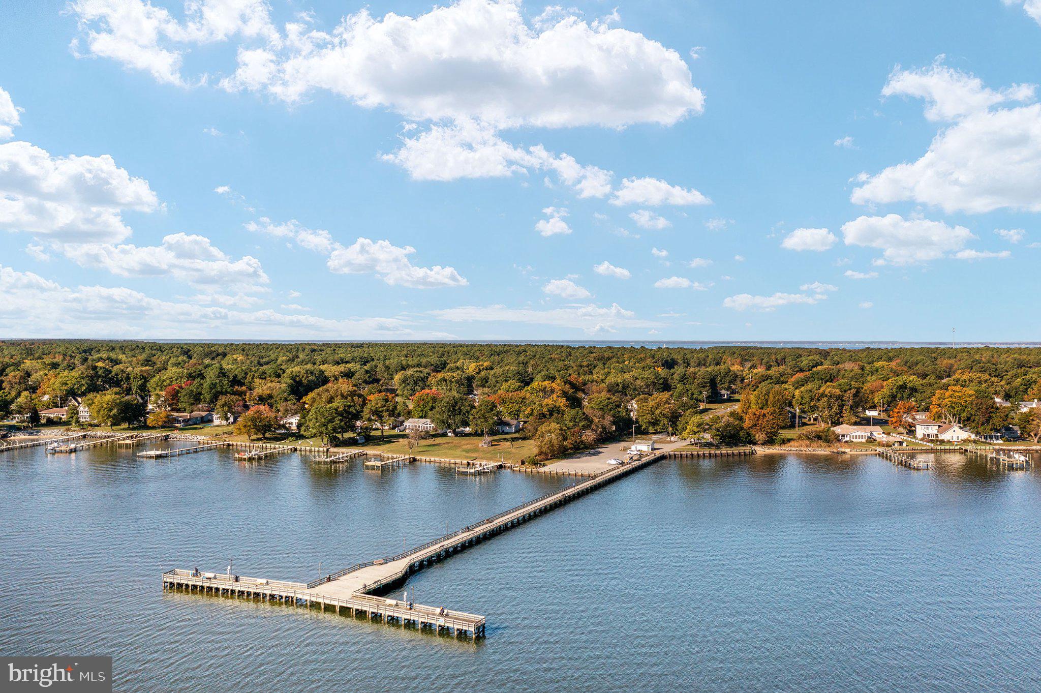 230 Long Point Road Stevensville, MD 21666 - Photo 28 of 41 Serene waterfront with vibrant foliage.