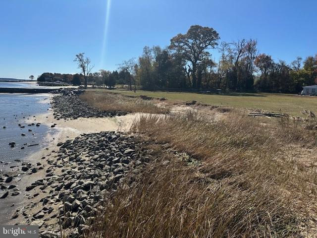 230 Long Point Road Stevensville, MD 21666 - Photo 35 of 41 Serene waterfront with golden grasses.