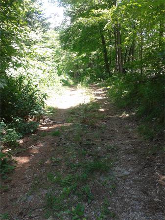 130 Old Bay Road Belchertown, MA 01007 - Photo 1 of 22 Gallery Image 1