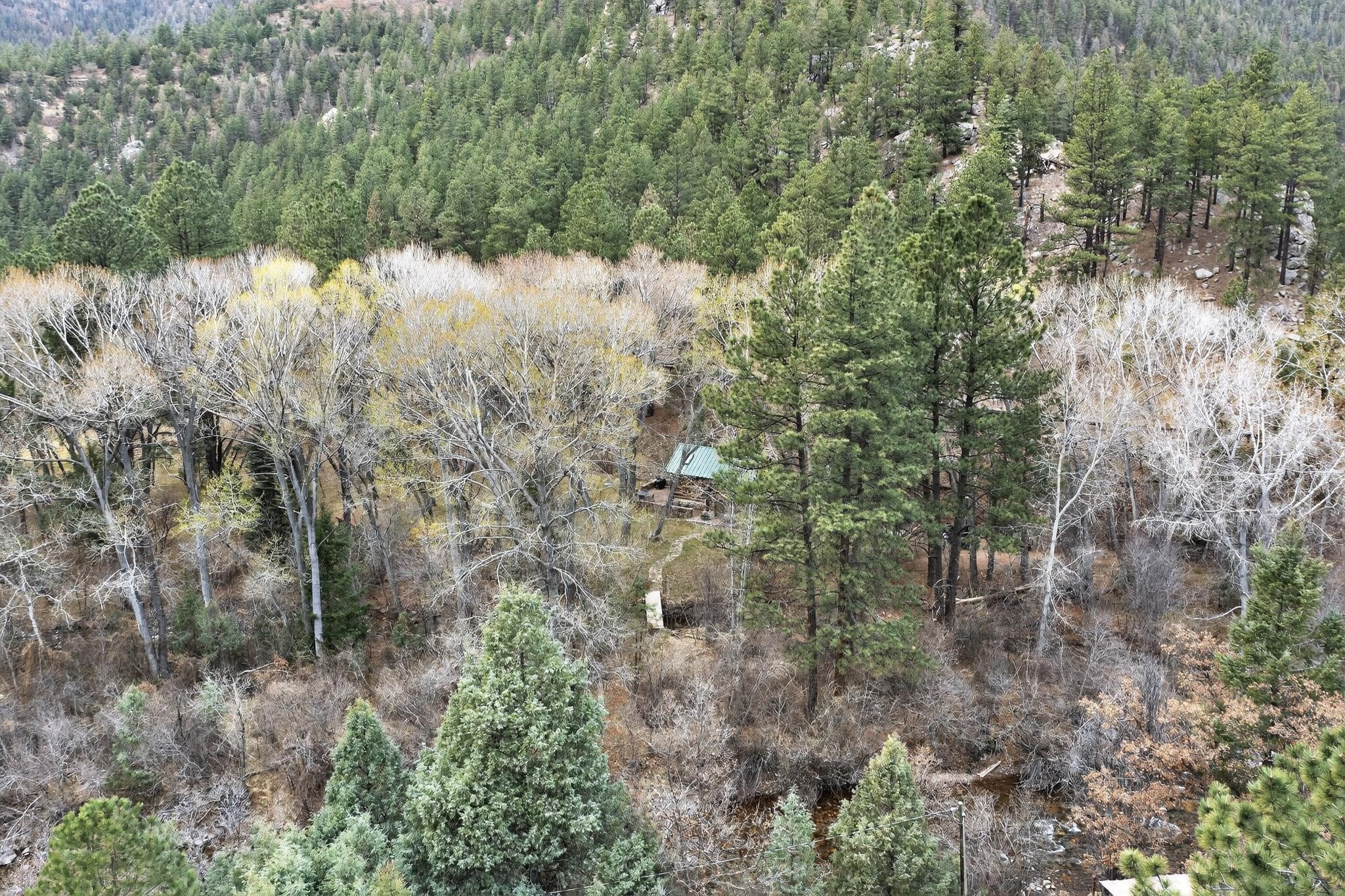 1 Mcferrin Taylor Road Pecos, NM 87552 - Photo 49 of 60