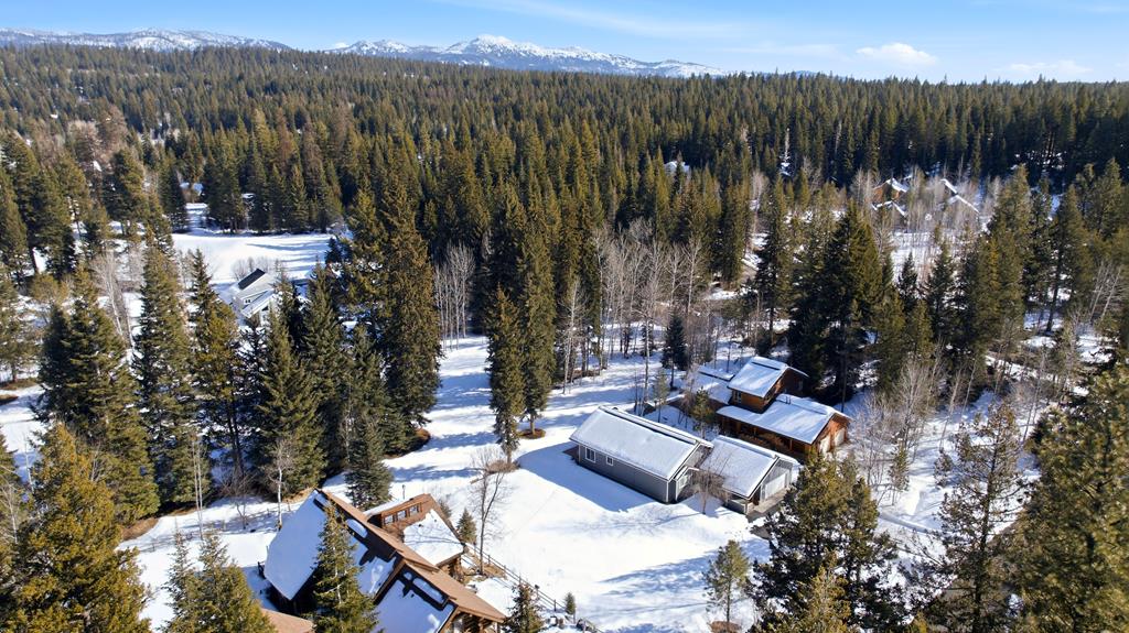 Tbd Divot Lane, Unit 4 McCall, ID 83638 - Photo 4 of 18